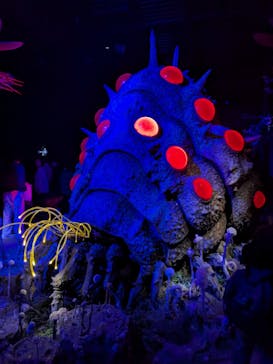 金曜ロードショーとジブリ展（静岡展）に投稿された画像（2026/1/5）