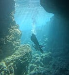 武藤潜水に投稿された画像（2026/1/5）