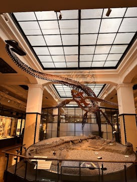 国立科学博物館に投稿された画像（2026/1/5）