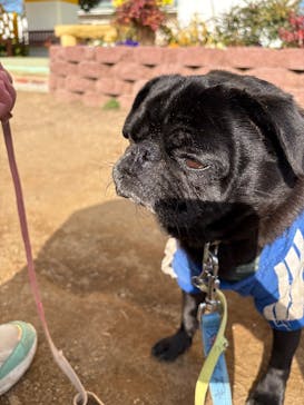 つくばわんわんランドに投稿された画像（2026/1/5）