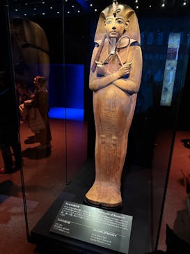 ACN ラムセス大王展 ファラオたちの黄金に投稿された画像（2026/1/5）