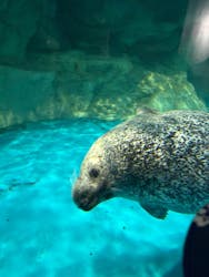 アクアワールド茨城県大洗水族館に投稿された画像（2026/1/5）
