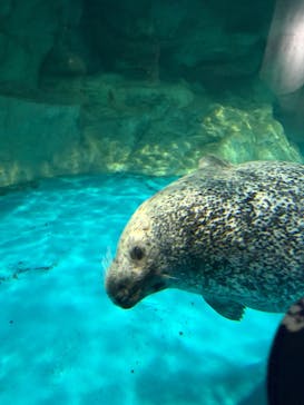 アクアワールド茨城県大洗水族館に投稿された画像（2026/1/5）
