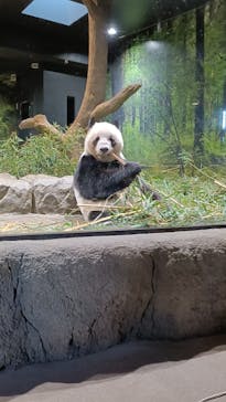 恩賜上野動物園に投稿された画像（2026/1/5）