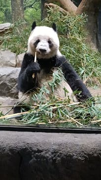 恩賜上野動物園に投稿された画像（2026/1/5）