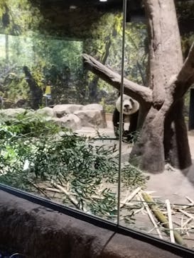 恩賜上野動物園に投稿された画像（2026/1/5）