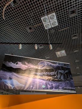 特別展「大絶滅展―生命史のビッグファイブ」に投稿された画像（2026/1/5）