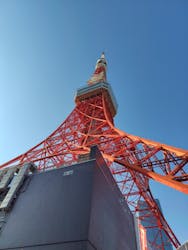 東京タワーに投稿された画像（2026/1/5）