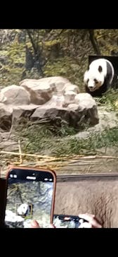 恩賜上野動物園に投稿された画像（2026/1/5）