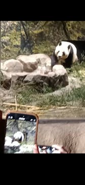 恩賜上野動物園に投稿された画像（2026/1/5）