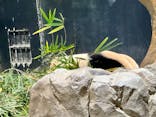 恩賜上野動物園に投稿された画像（2026/1/5）