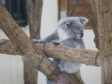 こども動物自然公園（埼玉県公園緑地協会）に投稿された画像（2026/1/5）