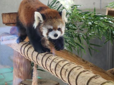 こども動物自然公園（埼玉県公園緑地協会）に投稿された画像（2026/1/5）