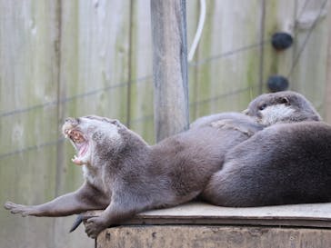 こども動物自然公園（埼玉県公園緑地協会）に投稿された画像（2026/1/5）