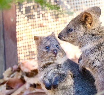 こども動物自然公園（埼玉県公園緑地協会）に投稿された画像（2026/1/5）