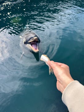 太地町立くじらの博物館に投稿された画像（2026/1/5）