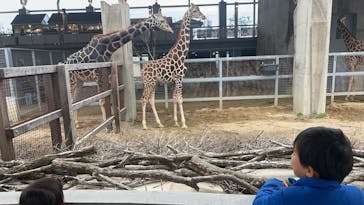 霞ケ浦 どうぶつとみんなのいえに投稿された画像（2026/1/5）