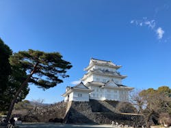 小田原城に投稿された画像（2026/1/5）