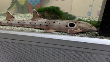 NIFREL（ニフレル）に投稿された画像（2026/1/5）