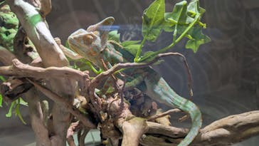 NIFREL（ニフレル）に投稿された画像（2026/1/5）