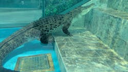 NIFREL（ニフレル）に投稿された画像（2026/1/5）