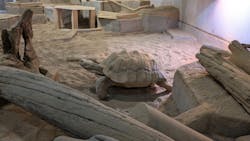 NIFREL（ニフレル）に投稿された画像（2026/1/5）