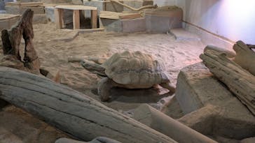 NIFREL（ニフレル）に投稿された画像（2026/1/5）