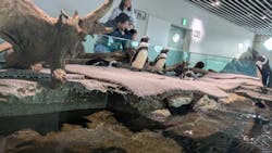 NIFREL（ニフレル）に投稿された画像（2026/1/5）