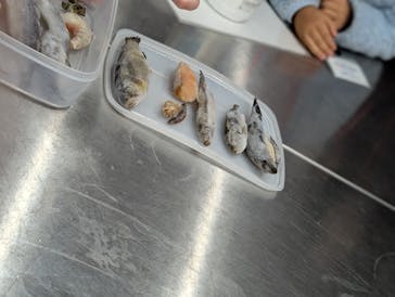 サンシャイン水族館に投稿された画像（2026/1/5）