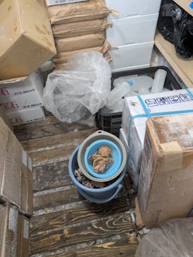 サンシャイン水族館に投稿された画像（2026/1/5）