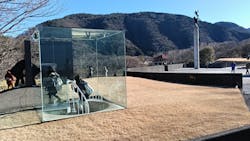 彫刻の森美術館に投稿された画像（2026/1/5）