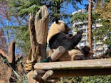 恩賜上野動物園に投稿された画像（2026/1/5）