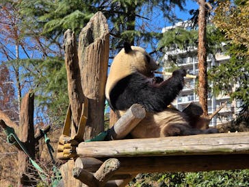 恩賜上野動物園に投稿された画像（2026/1/5）