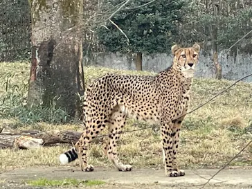 多摩動物公園に投稿された画像（2026/1/5）