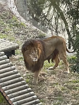 多摩動物公園に投稿された画像（2026/1/5）