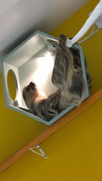 アニタッチ 東京ドームシティに投稿された画像（2026/1/5）