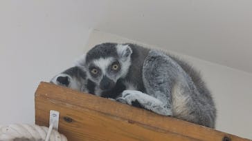 アニタッチ 東京ドームシティに投稿された画像（2026/1/5）