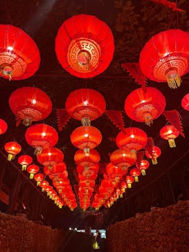 体験王国 むら咲むらに投稿された画像（2026/1/5）