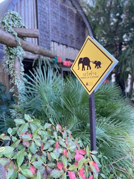 ANIMAL WONDER REZOURT 市原ぞうの国・サユリワールドに投稿された画像（2026/1/5）