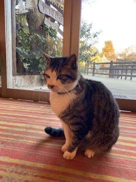 ANIMAL WONDER REZOURT 市原ぞうの国・サユリワールドに投稿された画像（2026/1/5）