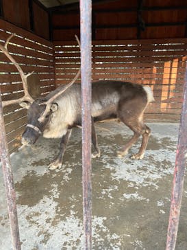 ANIMAL WONDER REZOURT 市原ぞうの国・サユリワールドに投稿された画像（2026/1/5）