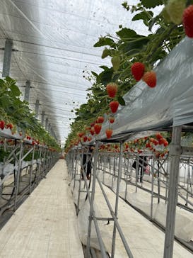 株式会社こまち野に投稿された画像（2026/1/5）