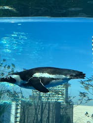 サンシャイン水族館に投稿された画像（2026/1/5）