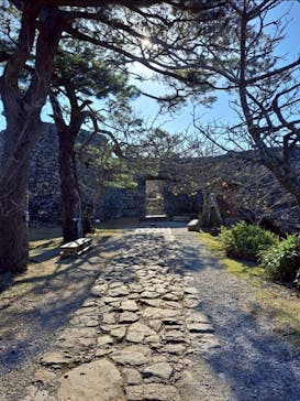 今帰仁城跡に投稿された画像（2026/1/5）