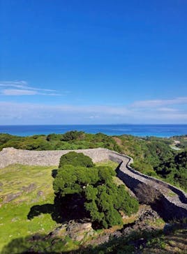 今帰仁城跡に投稿された画像（2026/1/5）