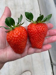 株式会社こまち野に投稿された画像（2026/1/5）