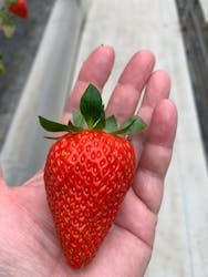 株式会社こまち野に投稿された画像（2026/1/5）