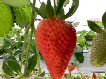 株式会社こまち野に投稿された画像（2026/1/5）