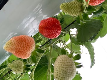 株式会社こまち野に投稿された画像（2026/1/5）