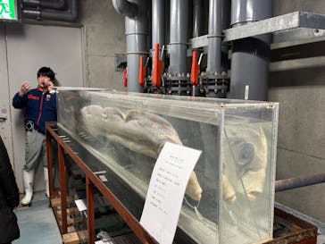 大分マリーンパレス水族館 「うみたまご」に投稿された画像（2026/1/5）